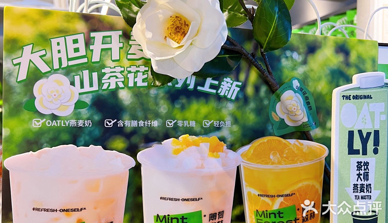 漳州探店 | 我的冬天不能没有「薄荷森林」❗