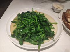 清炒豌豆尖-眉州东坡(团结湖店)