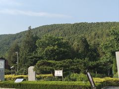 -泰山风景名胜区