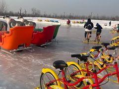 -绿野森林乐园冰雪季