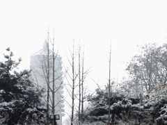 -玲珑塔公园