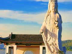 -晓琦农家菜馆·地道农家菜
