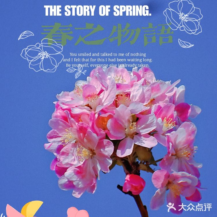 🌸京城赏花攻略|北土城地铁口,让你免费拥抱海棠花海🌷