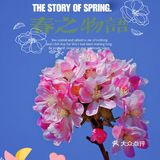 🌸京城赏花攻略|北土城地铁口，让你免费拥抱海棠花海🌷