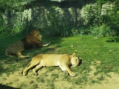 -北京野生动物园