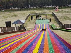 -黄海国家森林公园