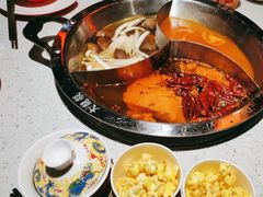 -大龙燚·旷野鲜火锅(广州首店)