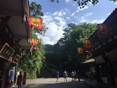 -青城山