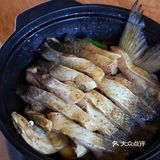 🐟世界奇鱼 赛湖高白鲑🐟