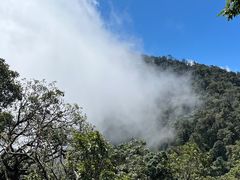 -云南屏边大围山国家公园