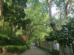 -杭州半山国家森林公园