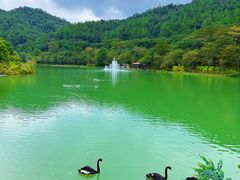 -广州白江湖森林公园