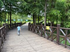 -自然谷恐龙园