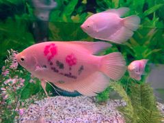 -常州海昌海洋探索馆