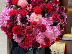 -植物学家的女儿(北马道巷店)