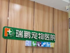 -瑞鹏宠物医院·夜间急症·心超·猫科(祖庙分店)