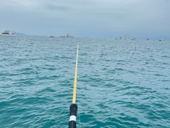 -小猫钓鱼海钓俱乐部(椰梦长廊店)