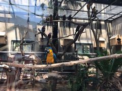 -大连森林动物园