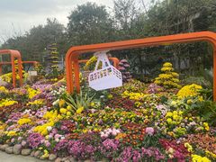 -南山植物园