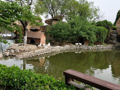 -静之湖湖畔餐厅