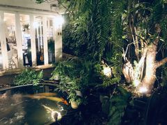 -Fern Forest Cafe