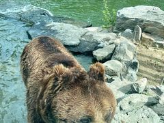 -北京野生动物园