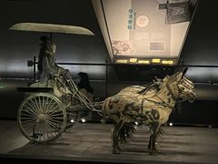 -秦始皇帝陵博物院(兵马俑)