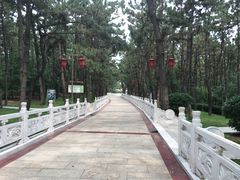 -林海公园