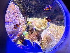 -太平洋海底世界