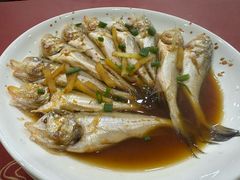 -红灯笼龙凤饭店(宁波老字号店)