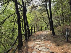 -阳台山自然风景区