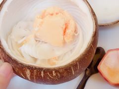 -志龙皇冠吃货椰子铺