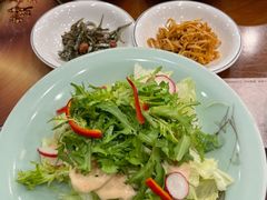 蔬菜沙拉-青瓦餐厅·生鱼片·韩园烤肉(西塔店)