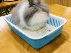 -藦茜花园宠物主题亲子互动体验馆(国顺东路店)