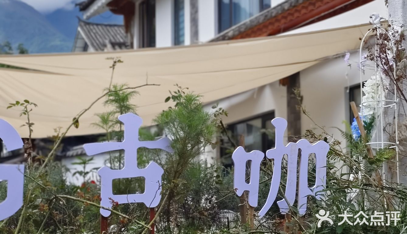 下次来喝春天