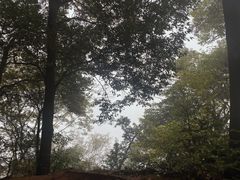 -青城山