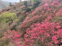 -木兰云雾山