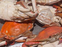 -一方渔歌蒸汽海鲜自助(文化路万达广场店)