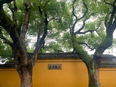 -西园戒幢律寺