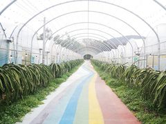 -海堤葡萄园中小学生研学基地