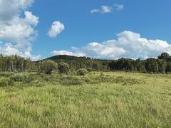 -塞罕坝国家级自然保护区