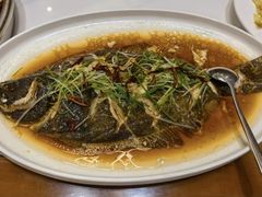 -福来齐·鲁菜海鲜·渔家菜(朝阳街分店)