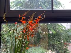 -花苑里咖啡(威远店)