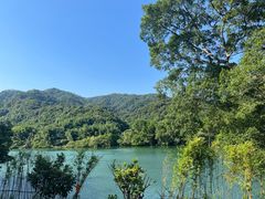 -广州市流溪河国家森林公园