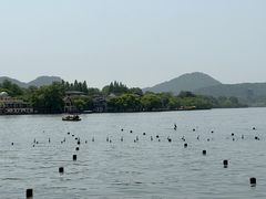 -西湖游船