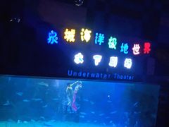 -泉城欧乐堡海洋极地世界