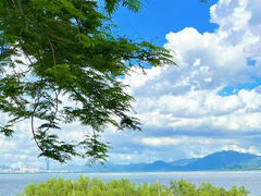 -深圳湾公园(南山区)
