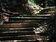 -上海佘山国家森林公园天马山园