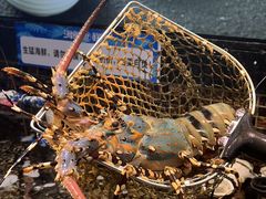 -海鲜e族(马王堆店)