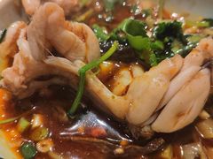 -费明中罗非鱼(大石坝店)